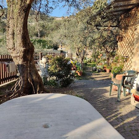 Seglia San BernardoCasa Elviraアパートメント エクステリア 写真