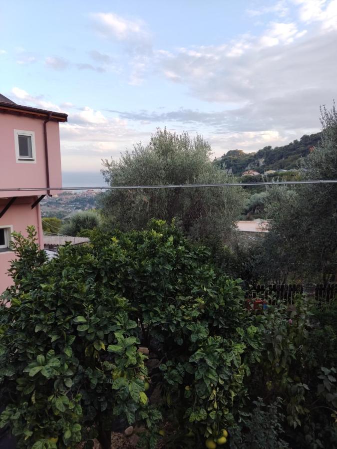 Seglia San BernardoCasa Elviraアパートメント エクステリア 写真