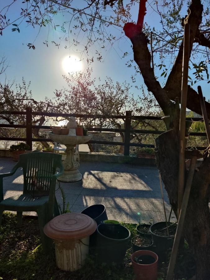Seglia San BernardoCasa Elviraアパートメント エクステリア 写真